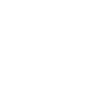 Social media icon